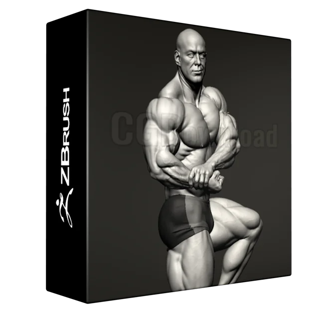 Advance Zbrush Bodybuilder Anatomy Tutorial