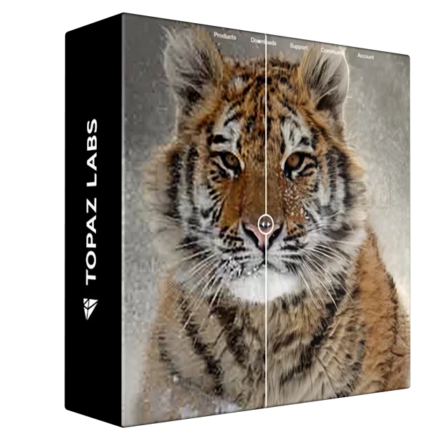 Topaz Photo AI 1.3.4 Win x64