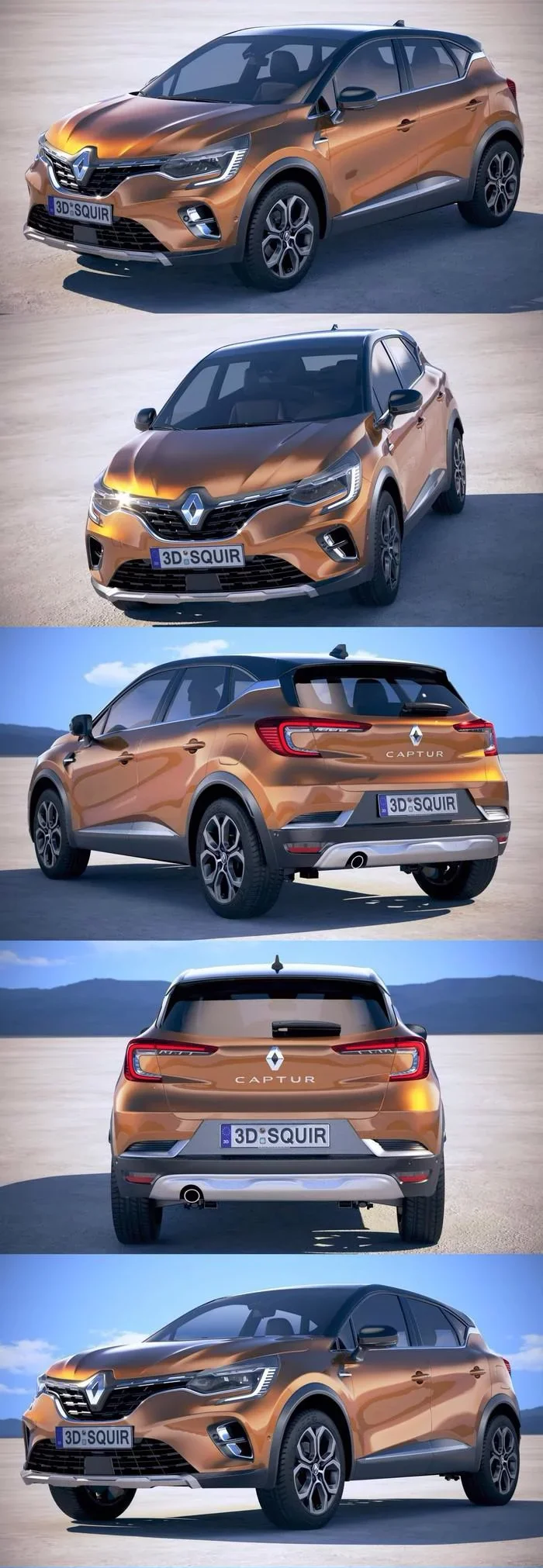 скачать Renalut Captur 2020