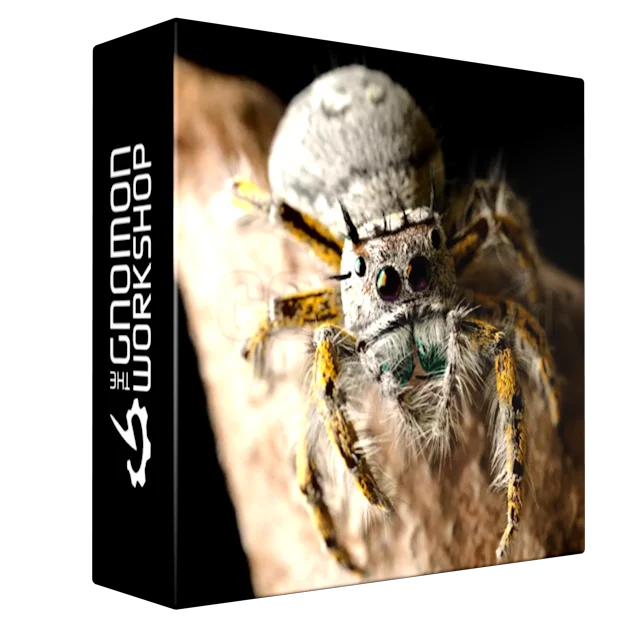 Modeling and Rendering a Realistic Jumping Spider