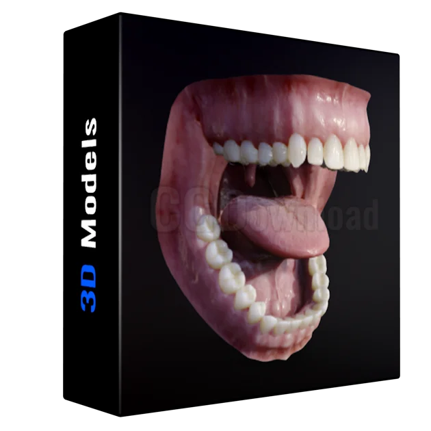 Photorealistic human mouth