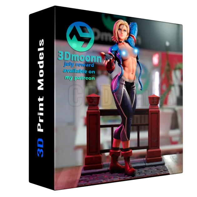 cammy street fighter – 3Dmoonn