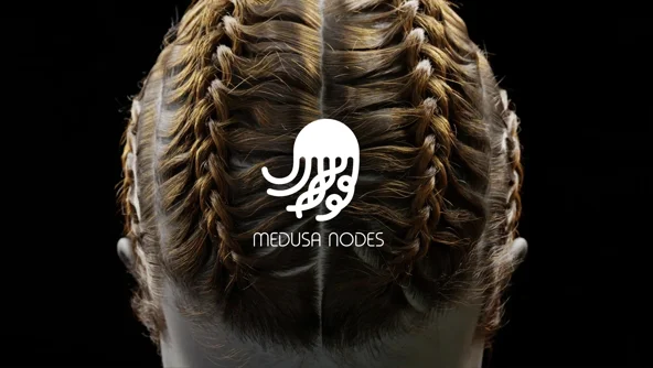 MEDUSA NODES crack