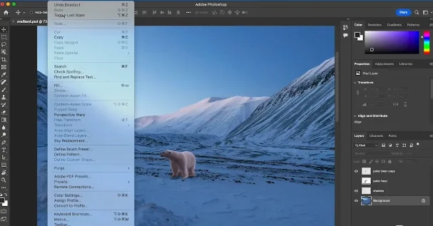 Leveraging AI in Adobe Photoshop and Creative Cloud скачать