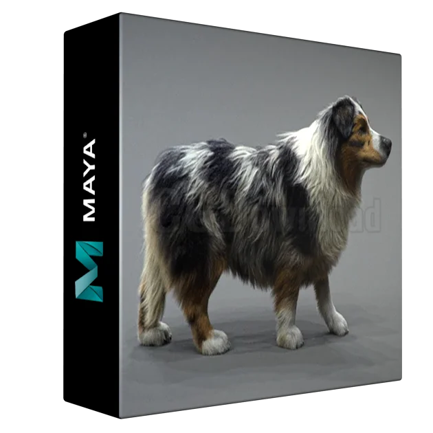 Realistic Dog Grooming for Production with Xgen ENG / RUS