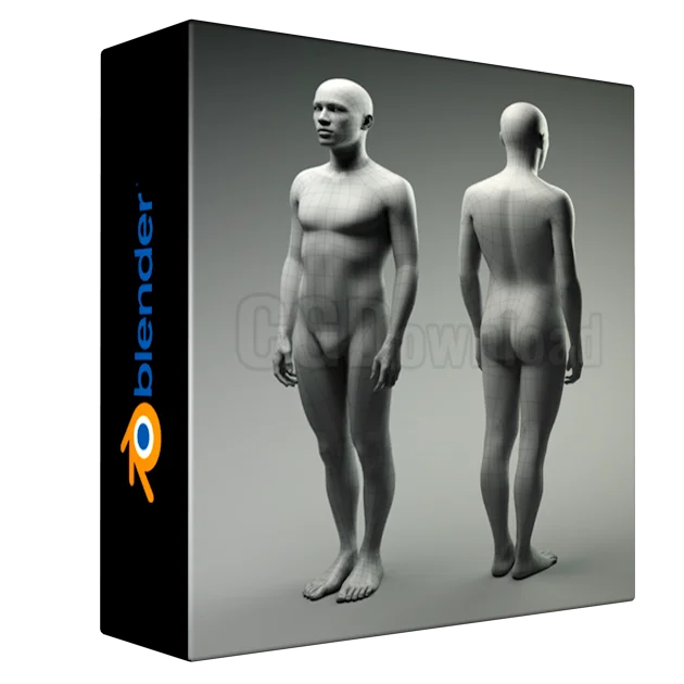 Universal Human Male Base Mesh