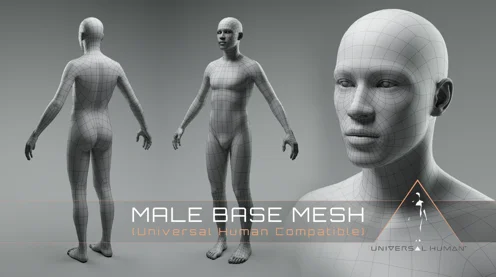 Universal Human Male Base Mesh скачать