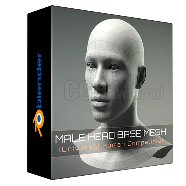 Universal Human Male Head Base Mesh