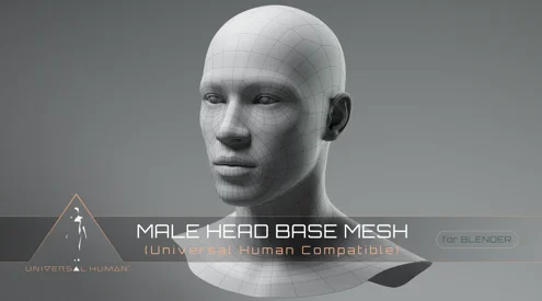 Universal Human Male Head Base Mesh скачать