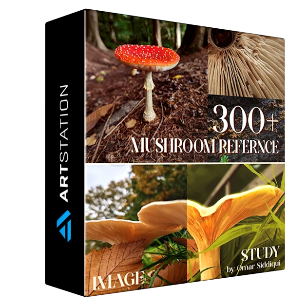 Reference pack | 300+ Mushrooms images