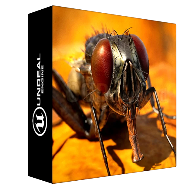 Animalia - Housefly