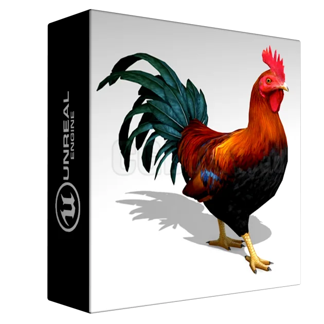 Rooster