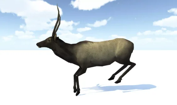 North American Elk crack