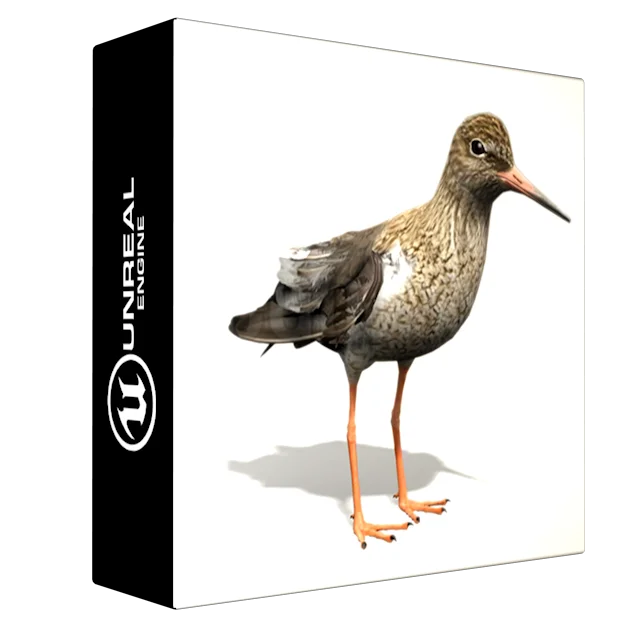 Redshank