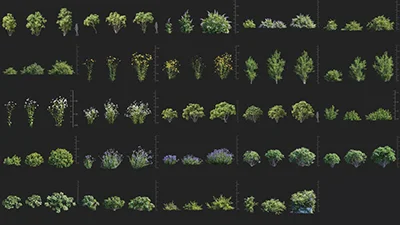 Maxtree Plant Models Vol 112 скачать