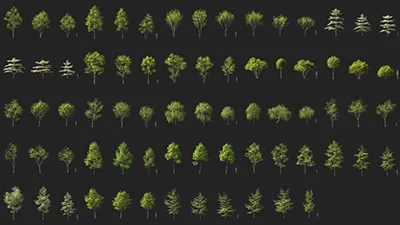 Maxtree Plant Models Vol 114 скачать