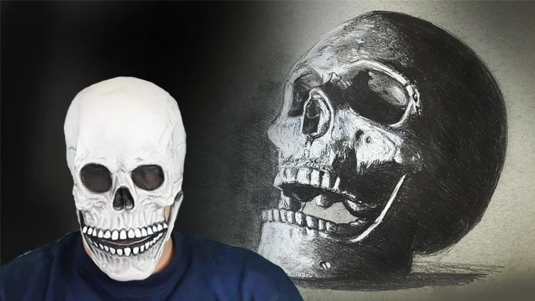 Drawing the Human Skull скачать