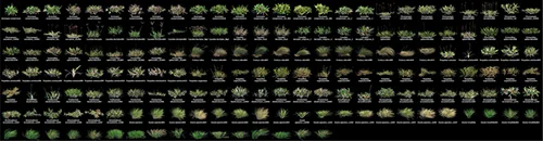 Globe Plants - Bundle 13 скачать