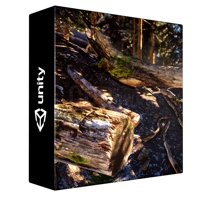 Mountain Forest Trunks and Roots