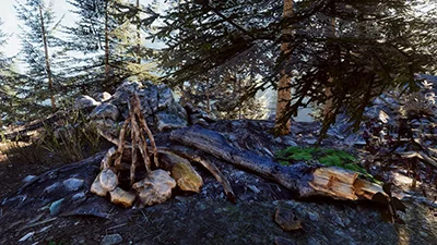 Mountain Forest Trunks and Roots скачать