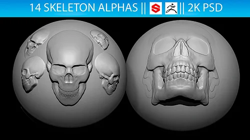 14 Skeleton Alphas Vol.2 (ZBrush, Substance, 2K скачать