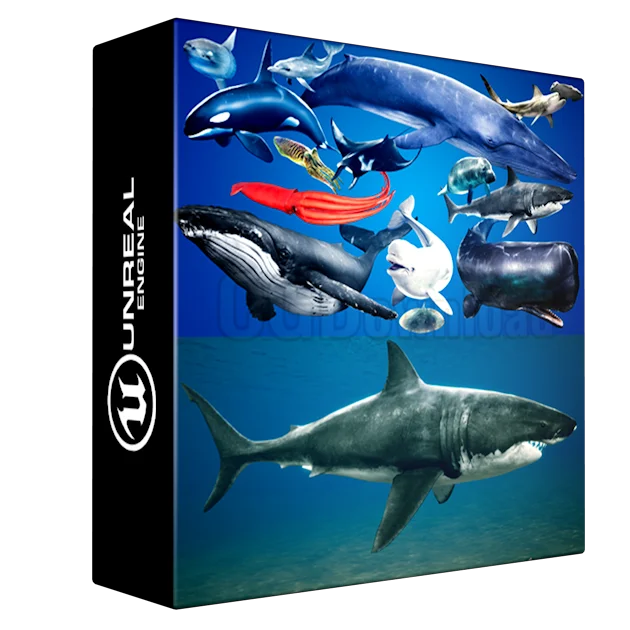 Ocean Animals MEGA Pack