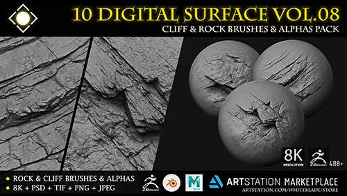 10 Digital Surface Rock & Cliff Brushes & Alphas Vol.08 скачать