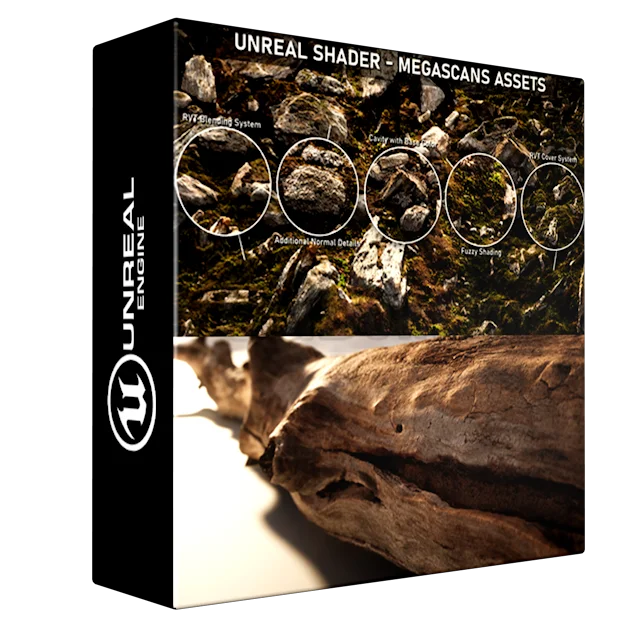 Unreal Shader : Megascans Assets