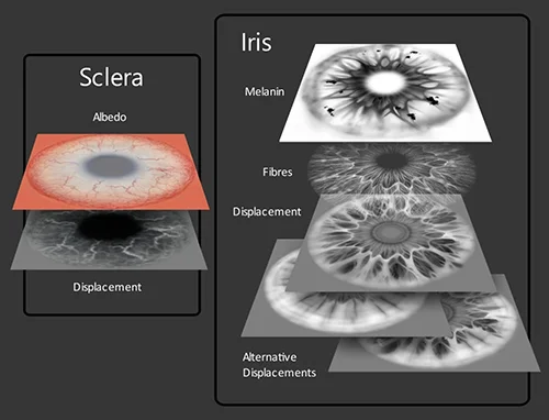 Universal Human - Eye Textures скачать