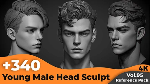 +340 Young Male Head Sculpt Reference(4k) скачать