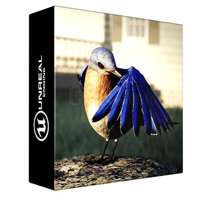 Animalia - Bluebird