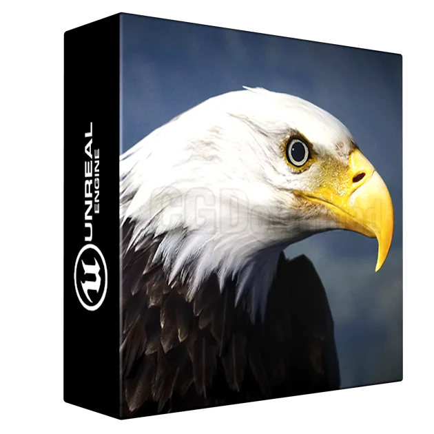 Animalia - Bald and Golden Eagle