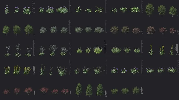 Maxtree - Plant Models Vol 136 скачать