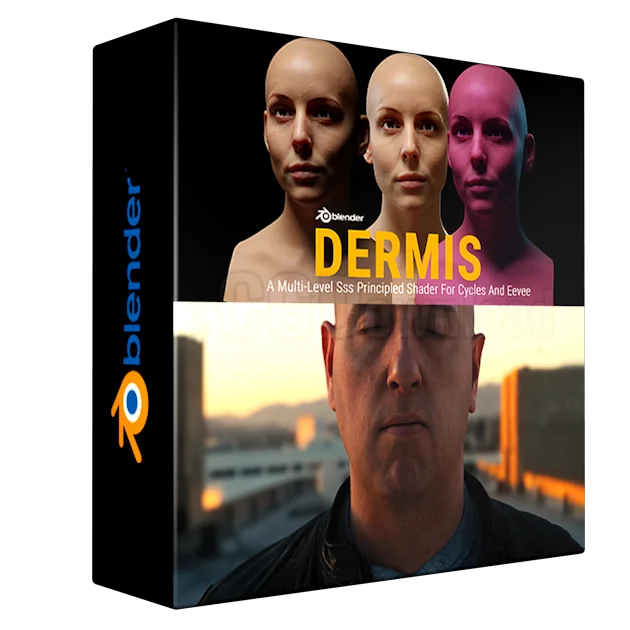 Dermis: A Multi-Level Sss Principled Shader For Cycles