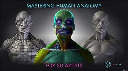Mastering Human Anatomy For 3D Artists скачать