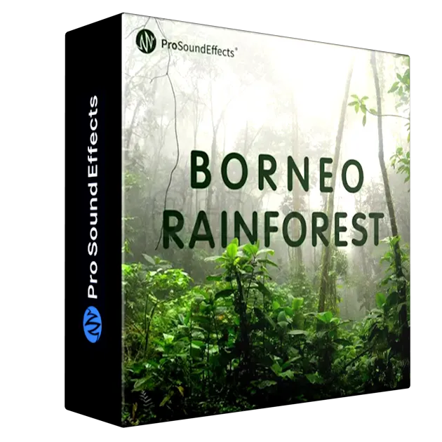 Pro Sound Effects - Borneo Rainforest