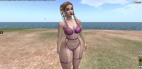 Complete Guide To Mastering Secondlife Clothing Design-2024 скачать