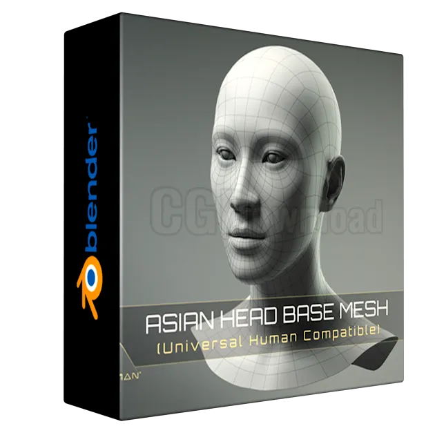 Universal Human Asian Head Base Mesh