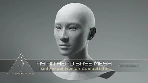 Universal Human Asian Head Base Mesh скачать