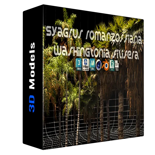 Syagrus Romanzoffiana and Washingtonia Filifera 3D Model