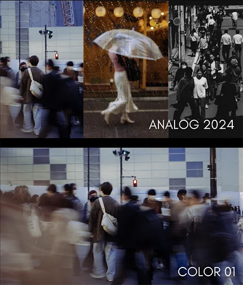 ANALOG 2024 (Lightroom Desktop & Mobile) скачать