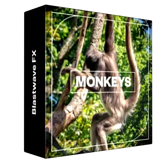 Blastwave FX - Monkeys