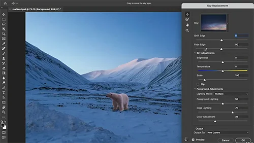 Leveraging AI in Adobe Photoshop and Creative Cloud (2024) скачать