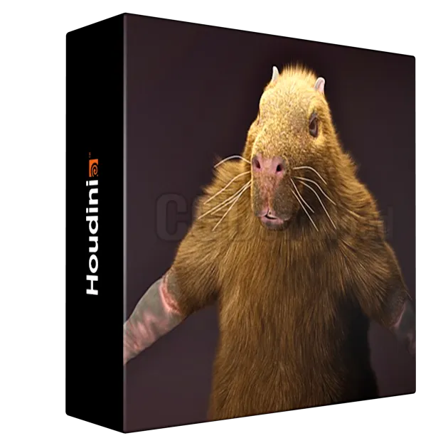 Fundamentals of Fur Grooming in Houdini