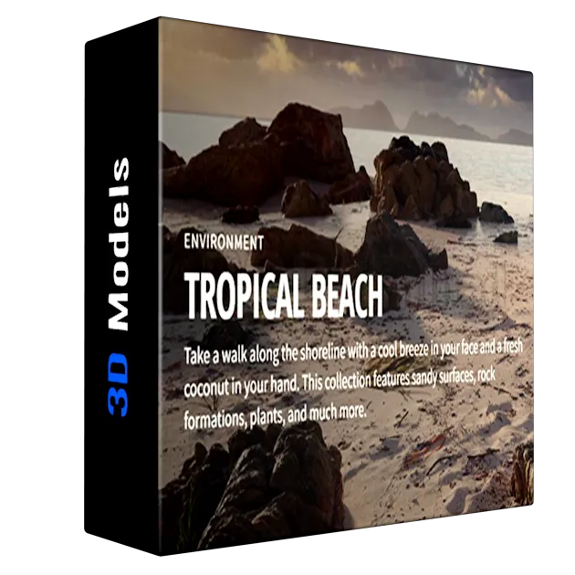 Megascans - Big collection Tropical Beach
