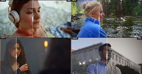 Rocket Rooster - Film Labs Skin Enhancer DCTL Davinci скачать