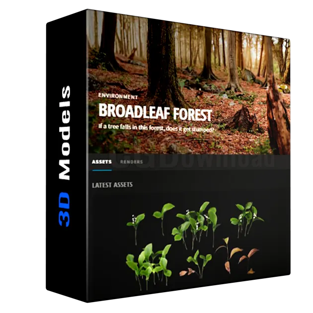 Megascans - BroadLeaf Forest (3D Fbx + Surfaces+plants)