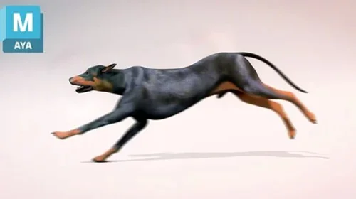 How to Animate a Dog Run Cycle in Maya скачать