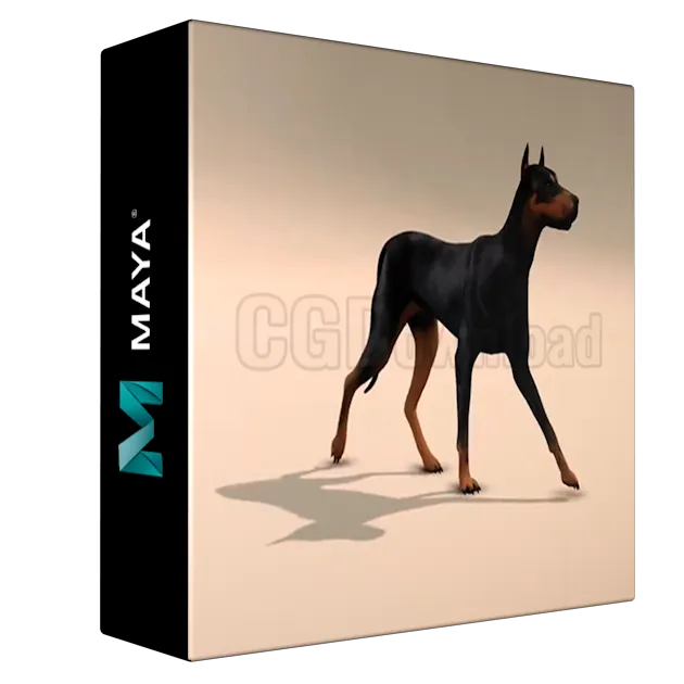 Sophoria Academy - Dog Walk And Run Cycle