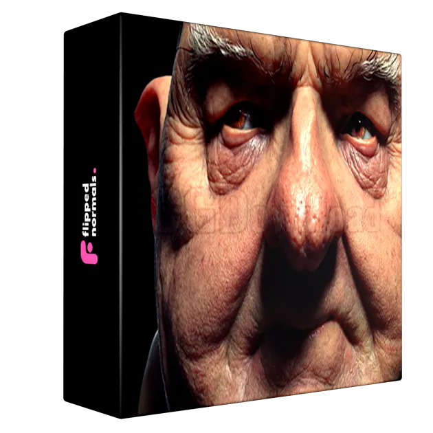 FlippedNormals - Face Kit